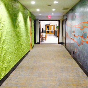 Vibrant green wall and colorful mural walls in our main entrance hallway.