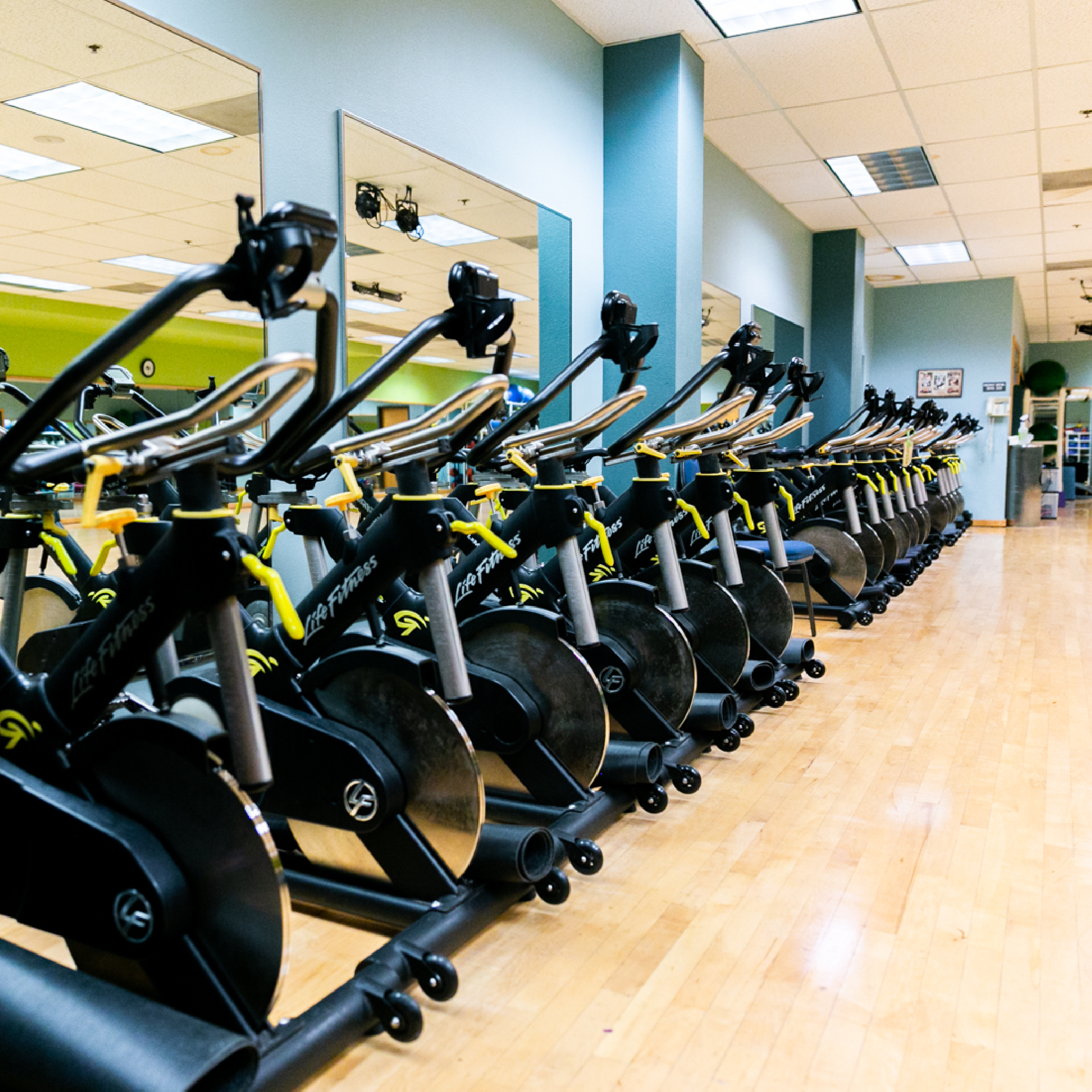 A row of exercise bikes stationed in our multipurpose room, ready for the next group fitness class.